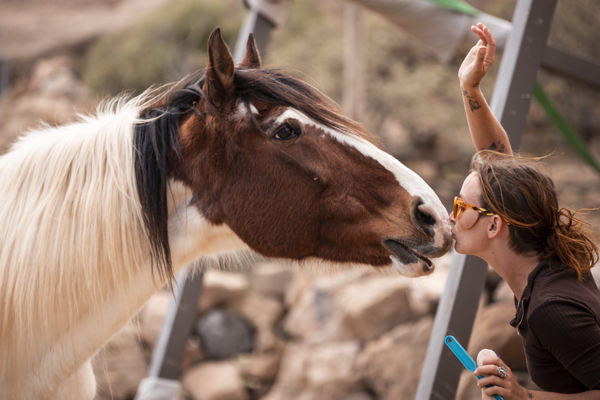 horse communication