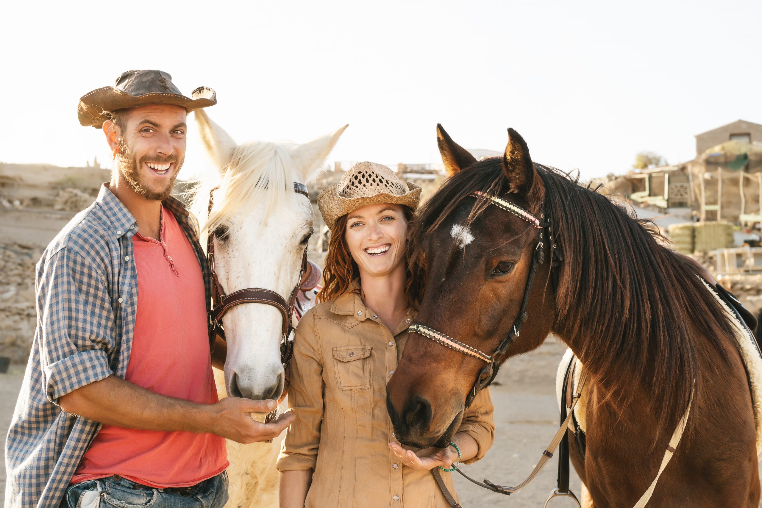 Tenerife Horse Rescue owners