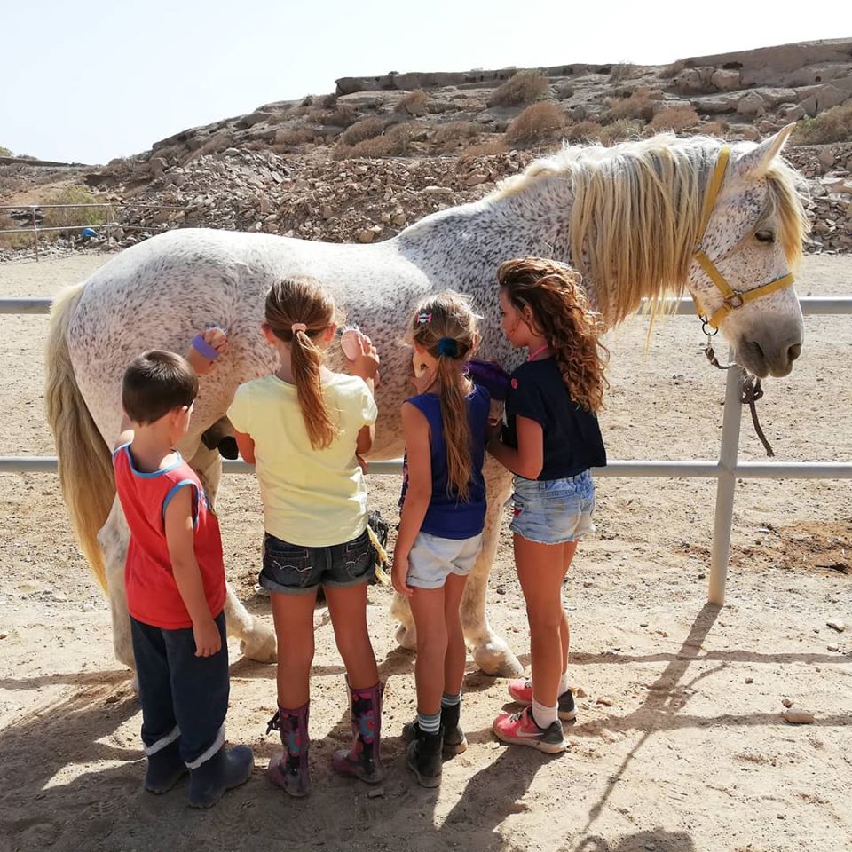 Capri - Tenerife Animal Sanctuary