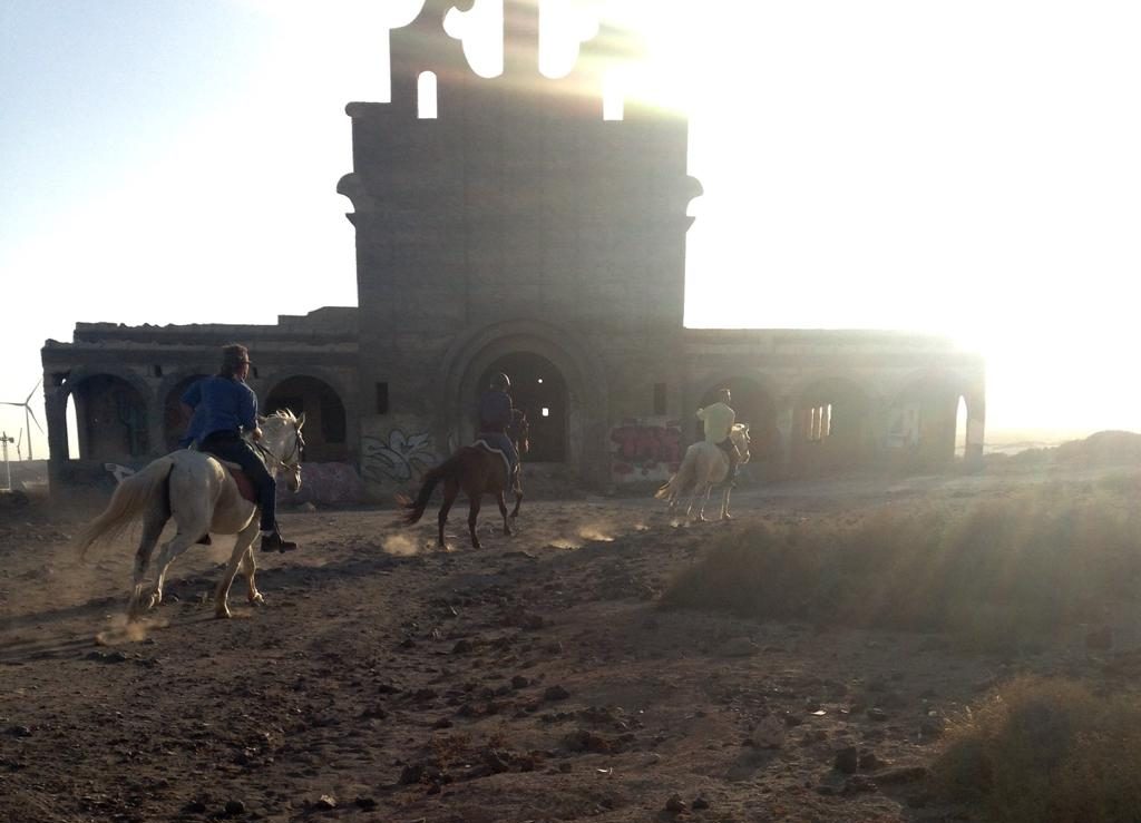 Horse sanctuary leper colony horse riding