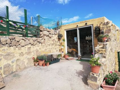 Holiday Rental Tenerife Horse Rescue Sanctuary