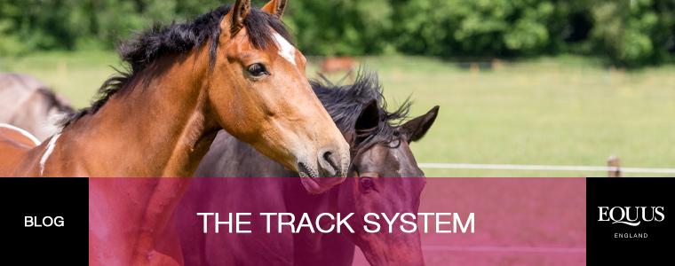 track-system-top-blog-image-760x300_4fbc9b85-2658-42a2-8b70-7671e2cea227