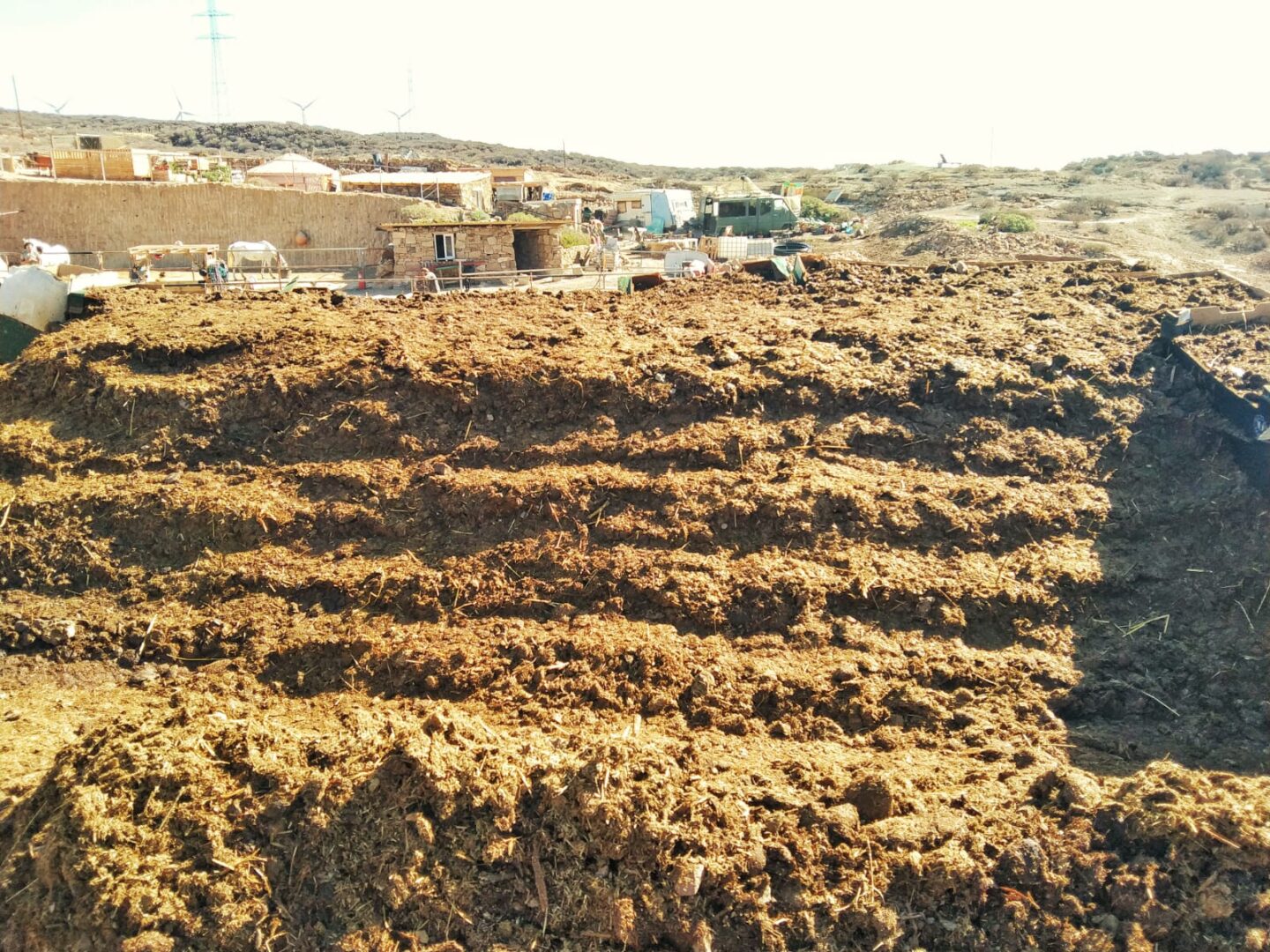 IMG-20200819-WA0003