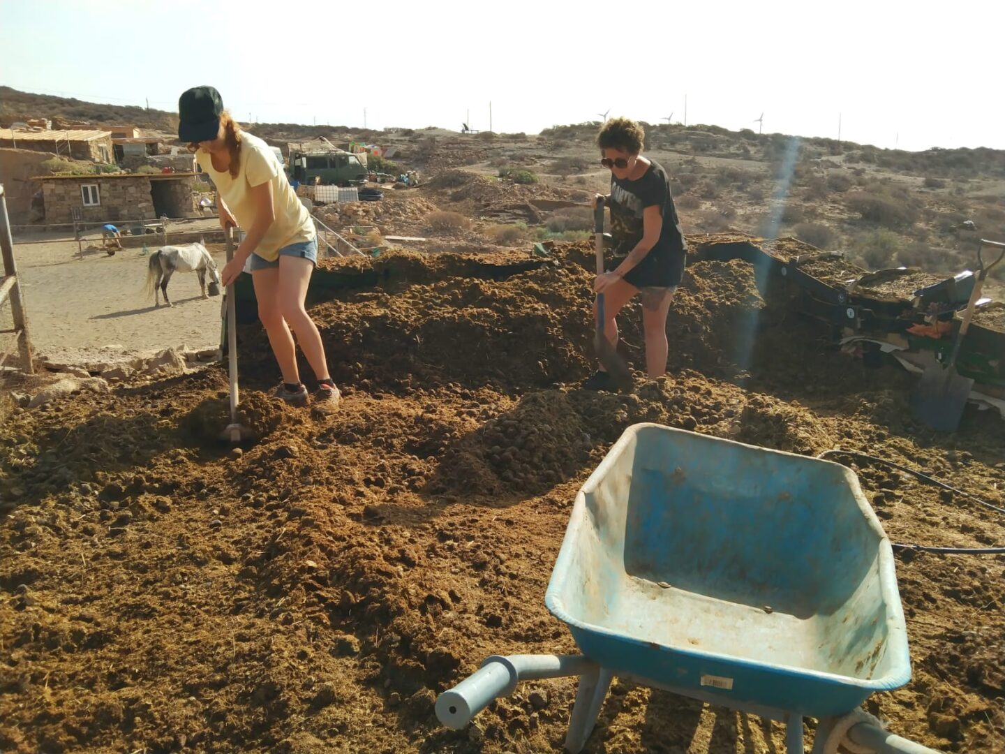 IMG-20200819-WA0006