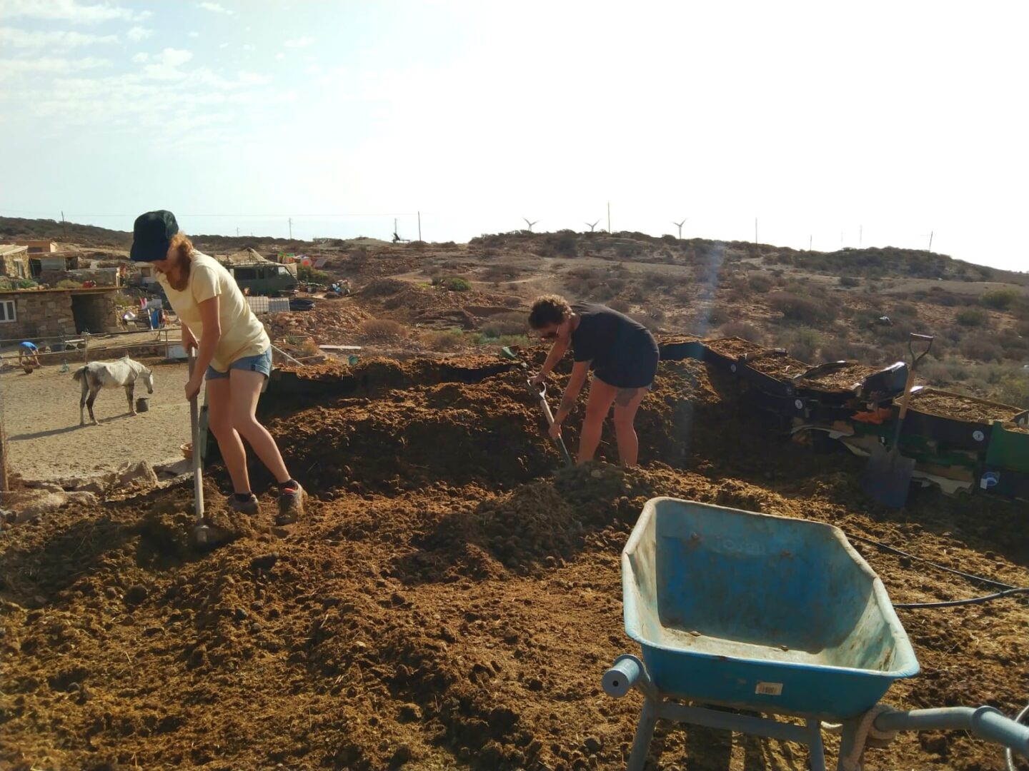 IMG-20200819-WA0007