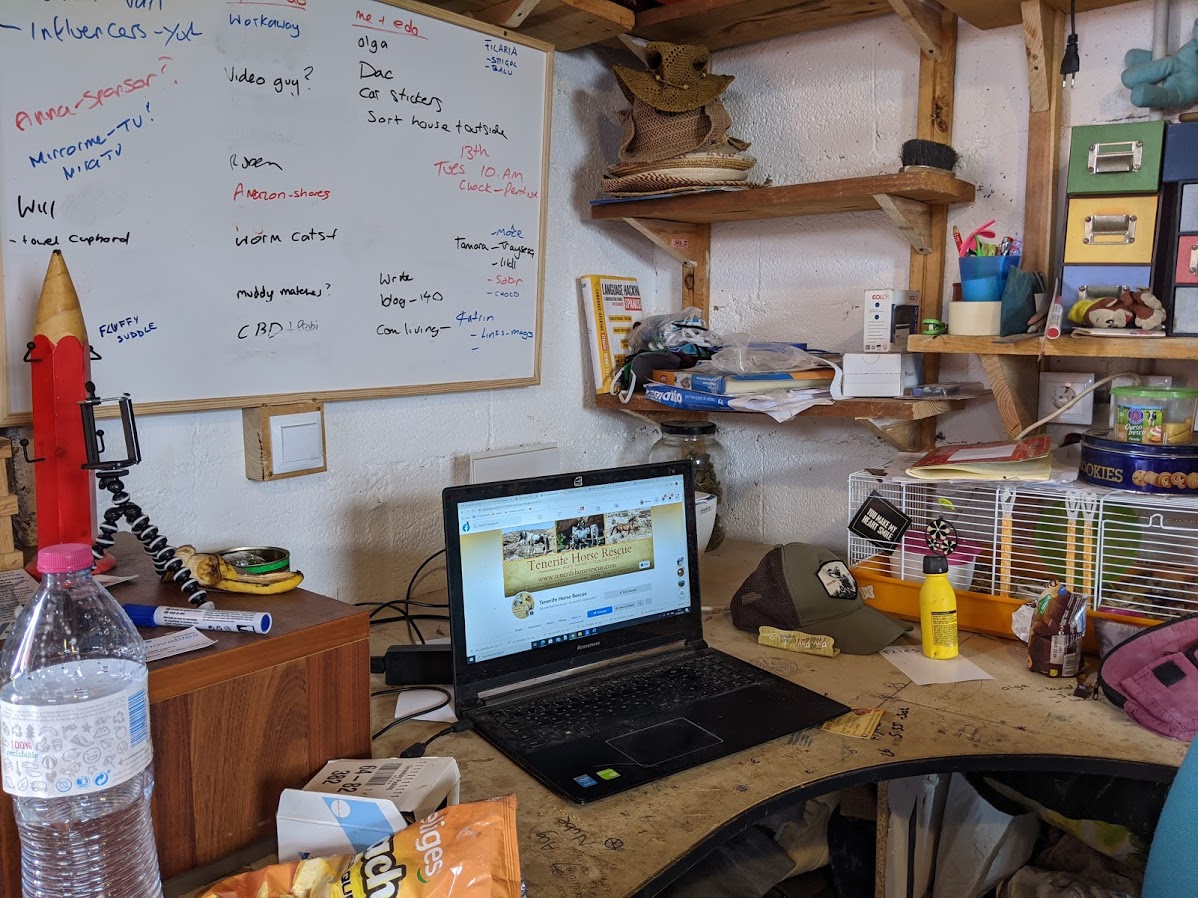 horse sanctuary office