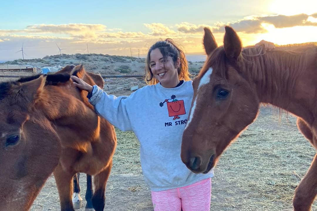 volunteer with horses