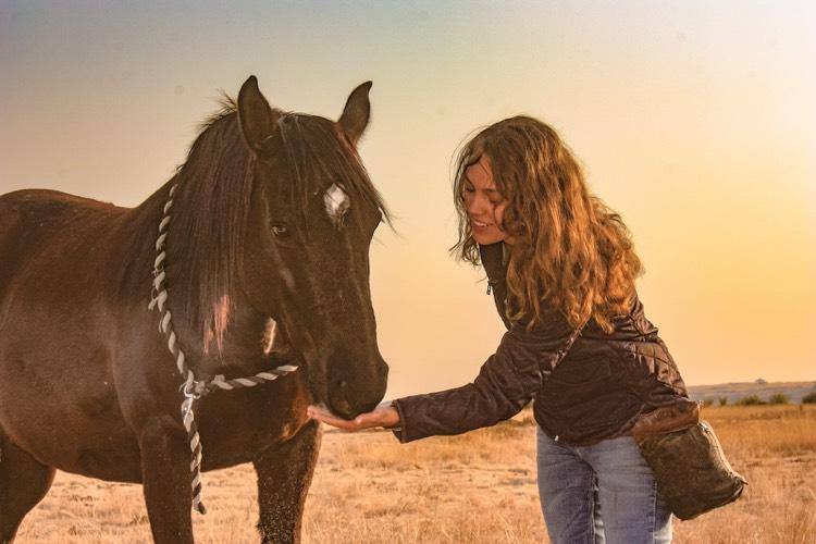 positive horsemanship