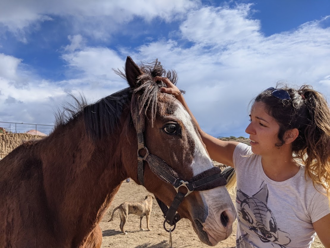 volunteer with horse