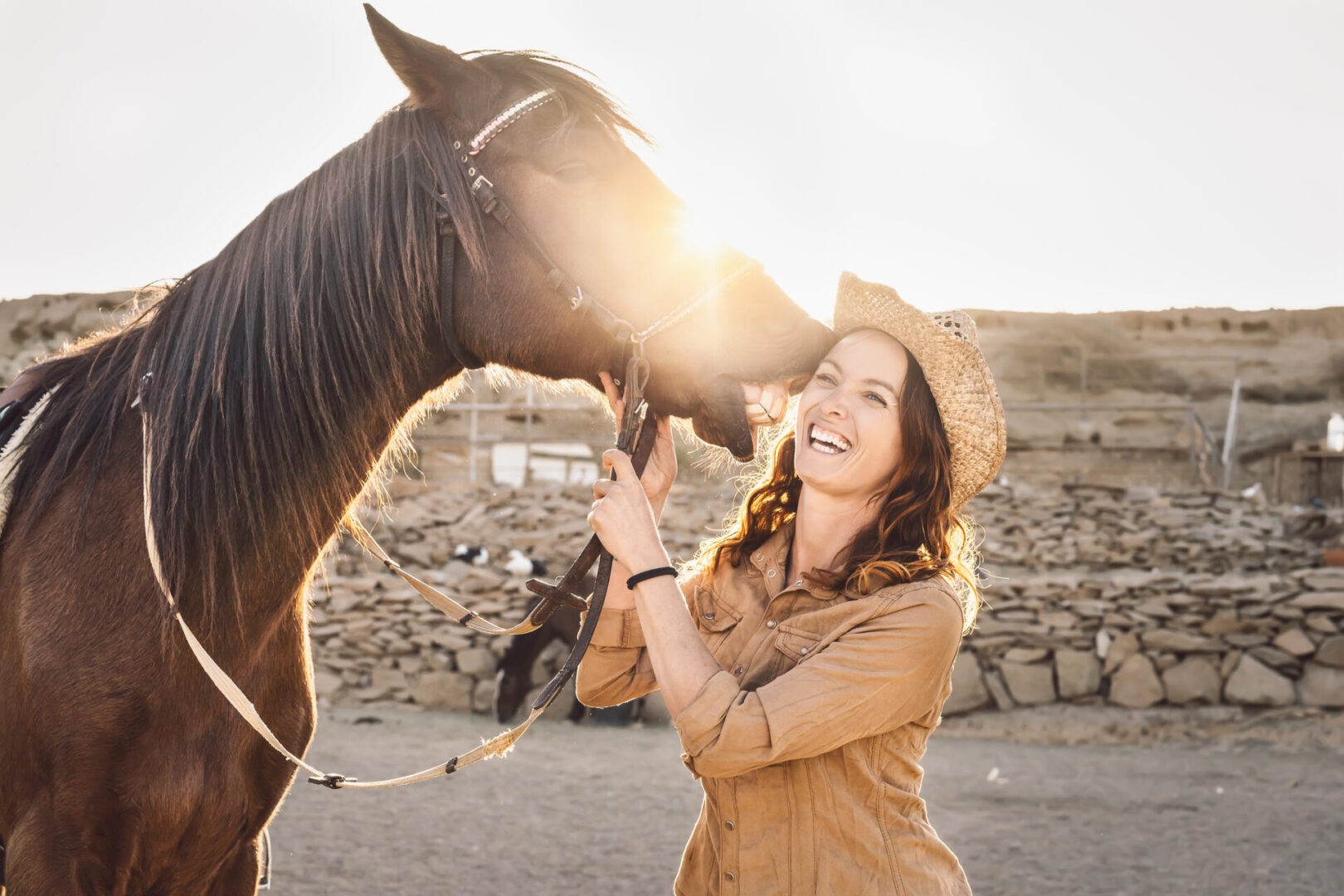 rescue horse