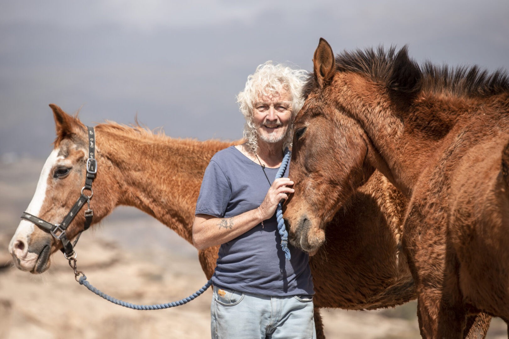 steve travis rescue horse
