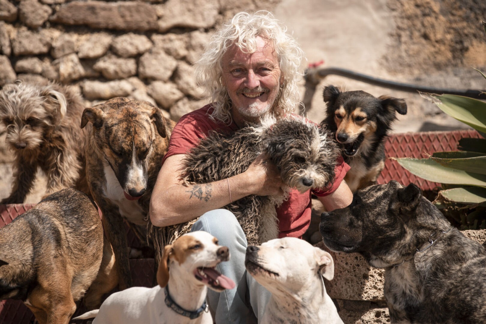 dog rescue steve travis