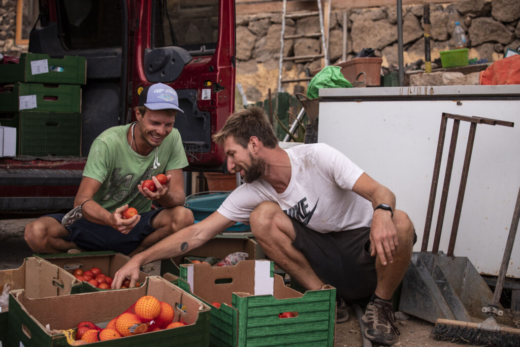 sorting sustainable vegetables