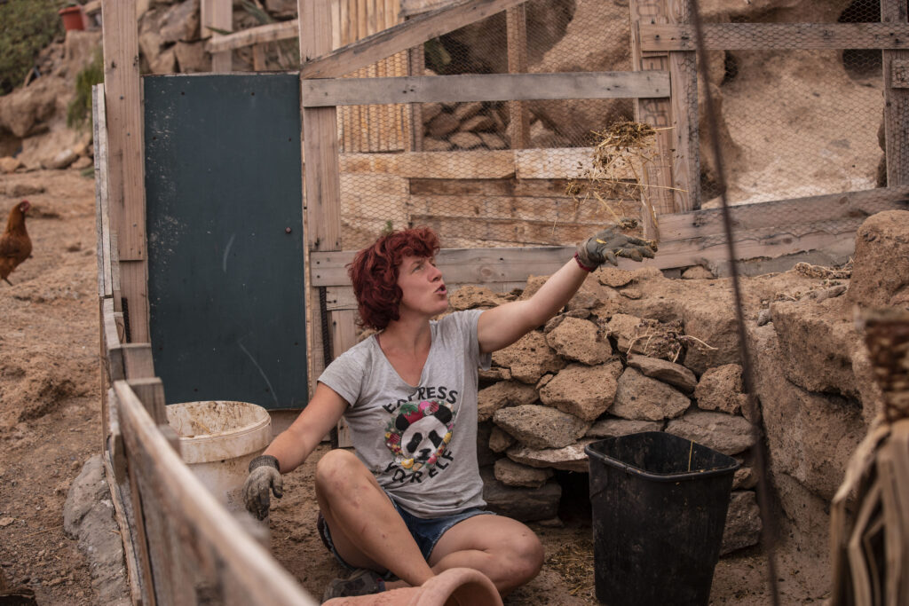 volunteer working with animals