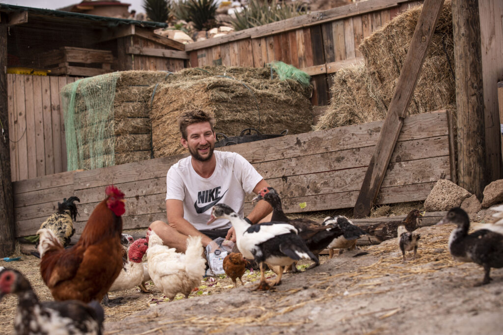 volunteer at animal sanctuary