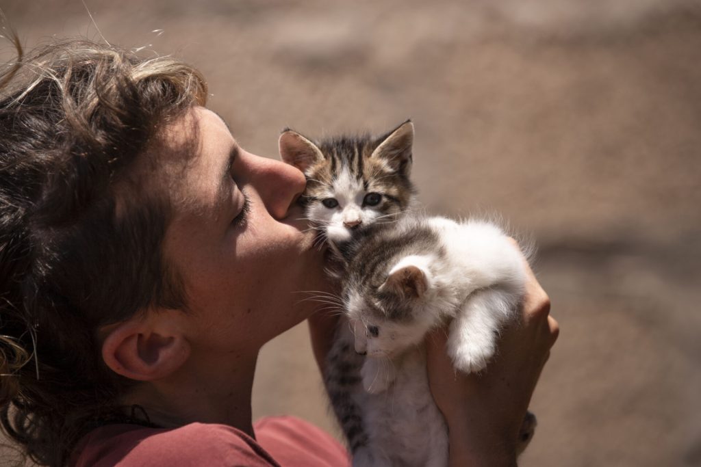 volunteer kissing kittens