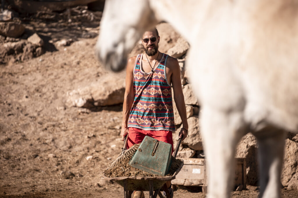volunteer cleaning horse poo