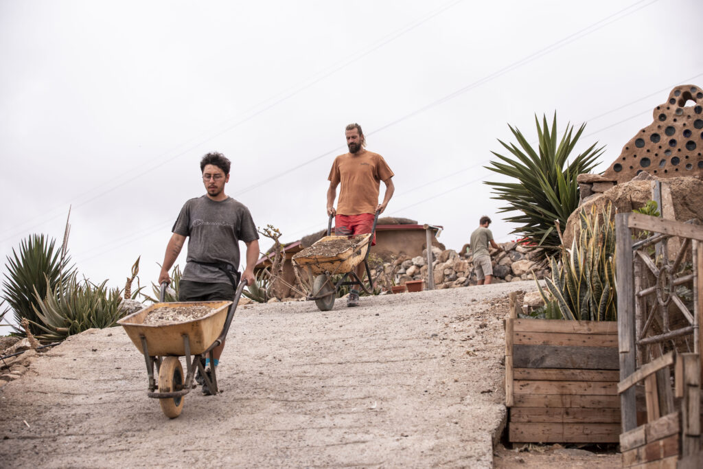 wheelbarrows of horse poo