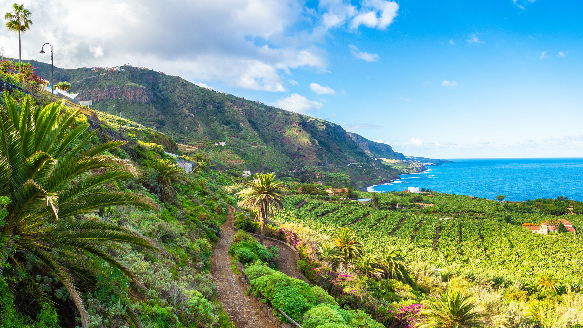 Tenerife sustainable travel tips